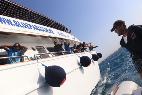 Dive into Adventure: Unveiling the Magic of Daily Diving Trips in Hurghada and Beyond